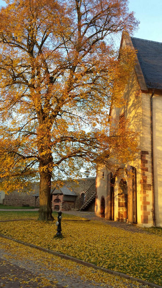 Kapelle im Herbst, Foto Wiebke Glöckner